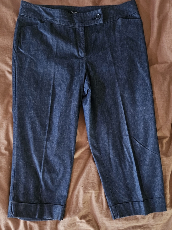 Ann Taylor Pants - Ann Taylor Women's Navy Cropped Dress Pants / Capri